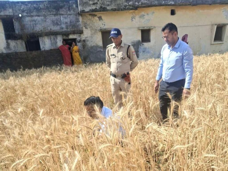 हल्द्वानी: जिलाधिकारी ने हरिपुरा में रबी फसल की क्रॉप कटिंग की