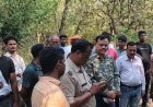 लालकुआं : हाथी के हमले से महिला की मौत, 72 घंटे में तीसरी मौत