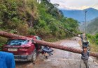 उत्तराखंड : भारी तूफान से गाड़ी के ऊपर गिरा विशालकाय पेड़