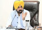 Punjab CM Bhagwant Mann rejects ED searches at Sanjeev Arora’s residence
