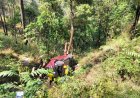 उत्तराखंड:(दुखद) भवाली राति घाट के पास दर्दनाक हादसा, 5 की मौत