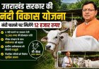 उत्तराखंड में नंदी पालने पर सरकार देगी 12 हजार रुपए, जानिए किसे मिलेगा लाभ?