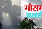 तात्कालिक मौसम अलर्ट: उत्तराखंड के 7 जिलों में ऑरेंज अलर्ट, तेज हवाओं के साथ बारिश और बिजली गिरने की चेतावनी