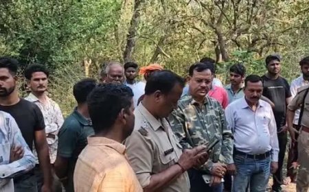 लालकुआं : हाथी के हमले से महिला की मौत, 72 घंटे में तीसरी मौत