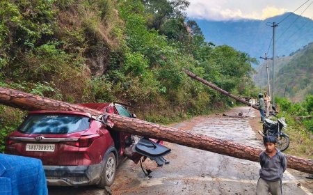 उत्तराखंड : भारी तूफान से गाड़ी के ऊपर गिरा विशालकाय पेड़