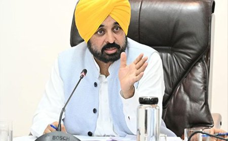 Punjab CM Bhagwant Mann rejects ED searches at Sanjeev Arora’s residence