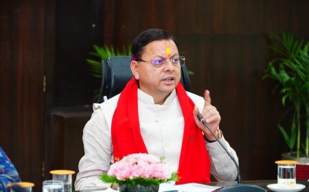 देहरादून :(बड़ी खबर ) धामी कैबिनेट में 19 प्रस्तावों पर लगी मोहर