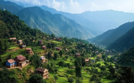 Uttarakhand Temperature: उत्तराखंड में गर्मी का रेड अलर्ट! मैदानी इलाकों में तपेगा पारा, पहाड़ों में राहत