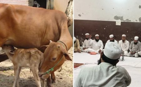 देहरादून: मुस्लिम समुदाय ने की गाय को राष्ट्रीय पशु घोषित करने की मांग, बकरीद पर जारी की एडवाइजरी