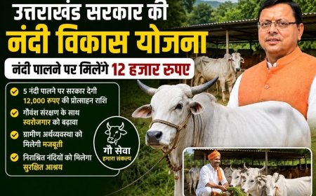 उत्तराखंड में नंदी पालने पर सरकार देगी 12 हजार रुपए, जानिए किसे मिलेगा लाभ?