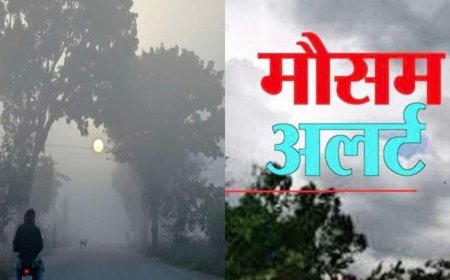 तात्कालिक मौसम अलर्ट: उत्तराखंड के 7 जिलों में ऑरेंज अलर्ट, तेज हवाओं के साथ बारिश और बिजली गिरने की चेतावनी