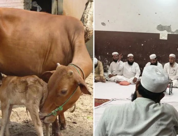 देहरादून: मुस्लिम समुदाय ने की गाय को राष्ट्रीय पशु घोषित करने की मांग, बकरीद पर जारी की एडवाइजरी
