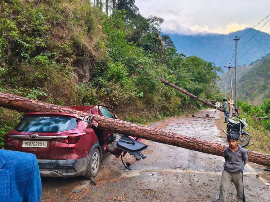 उत्तराखंड : भारी तूफान से गाड़ी के ऊपर गिरा विशालकाय पेड़