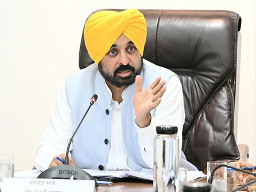 Punjab CM Bhagwant Mann rejects ED searches at Sanjeev Arora’s residence