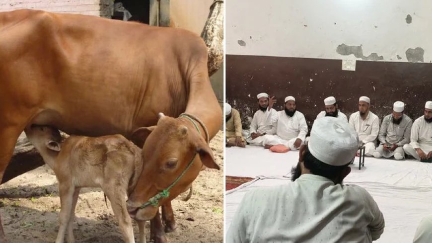 देहरादून: मुस्लिम समुदाय ने की गाय को राष्ट्रीय पशु घोषित करने की मांग, बकरीद पर जारी की एडवाइजरी