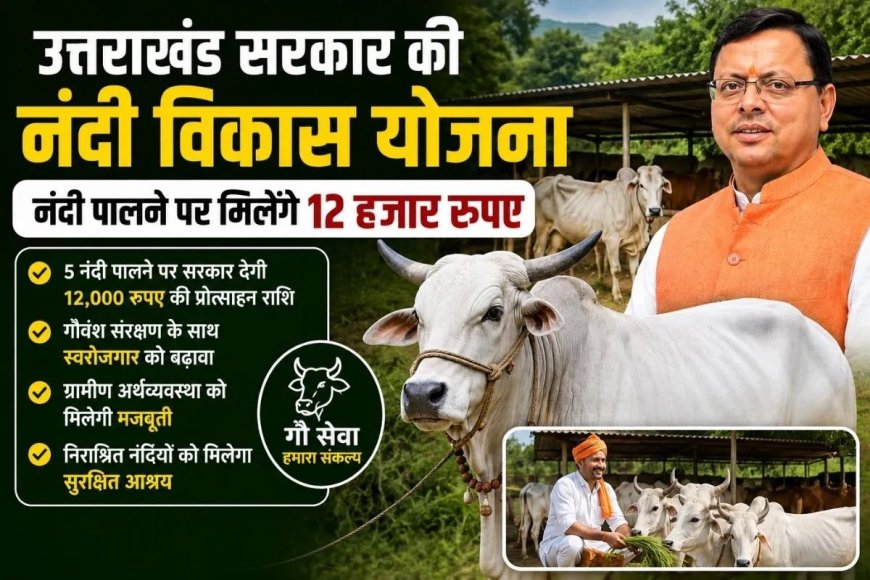 उत्तराखंड में नंदी पालने पर सरकार देगी 12 हजार रुपए, जानिए किसे मिलेगा लाभ?