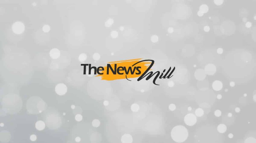 ED raids five Tamil Nadu sites in Rs 250 crore drug smuggling probe