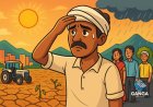 देहरादून में मानसून की देरी से किसान परेशान, गर्मी का प्रकोप जारी, Swag
